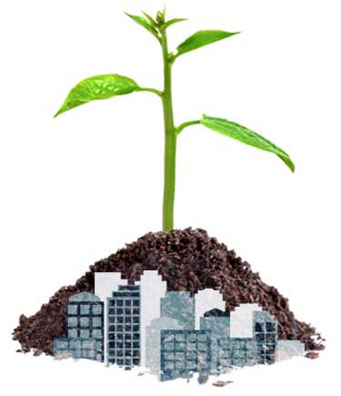 Econ Development_Trees Growing-2